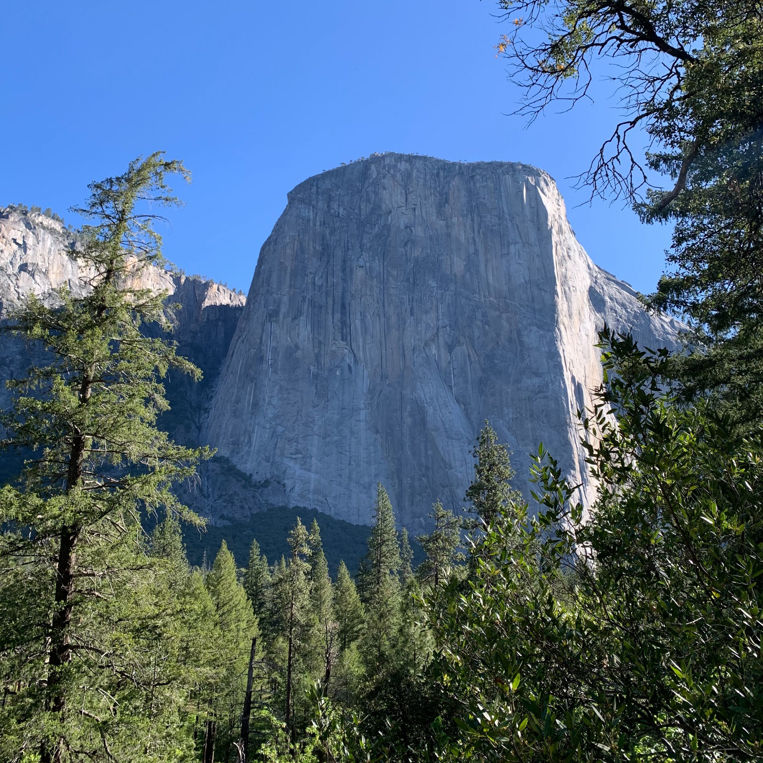 El Capitan, Yosemite National Park